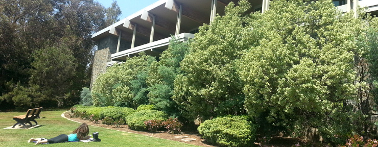 front of library